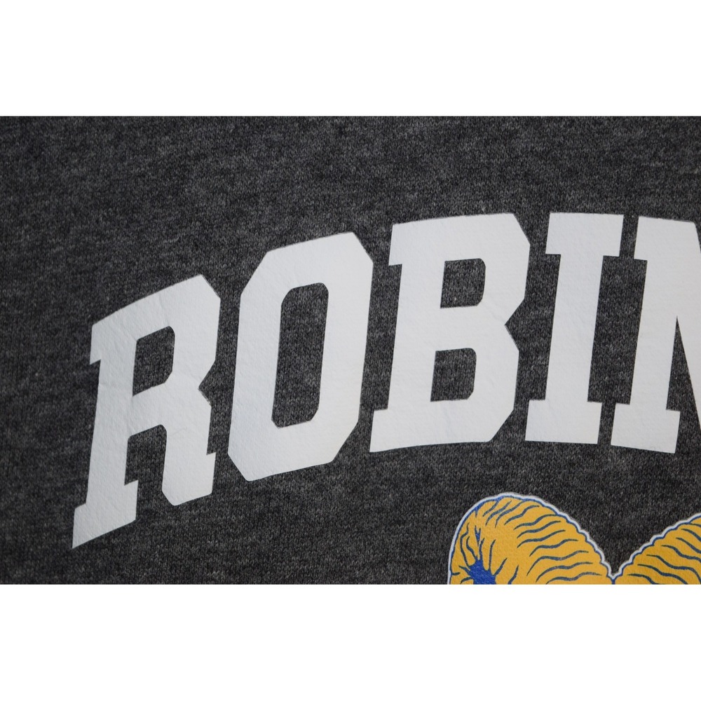 2020 Under Armour Robinson High School Fairfax VA Hoodie Sweatshirt MENS S Gray - Picture 5 of 16